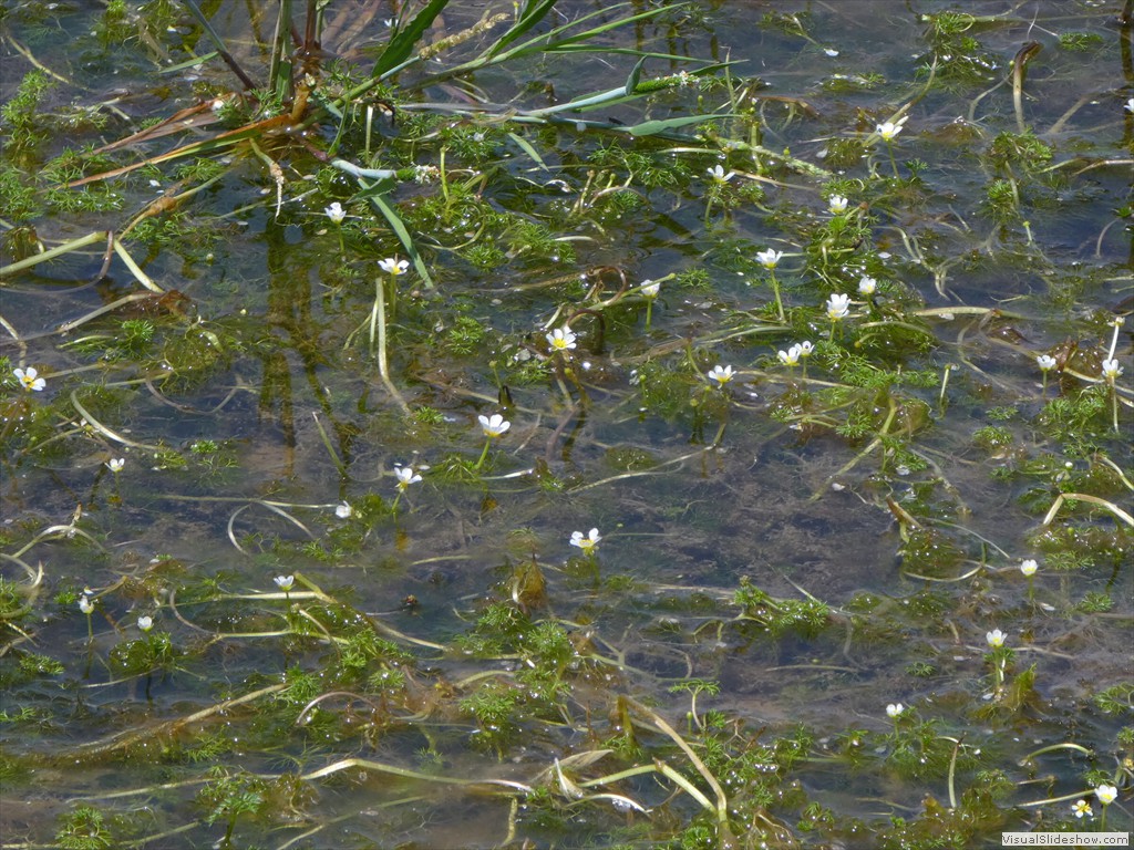 P1050825