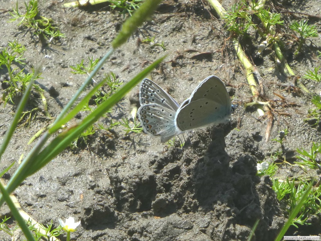 P1050832