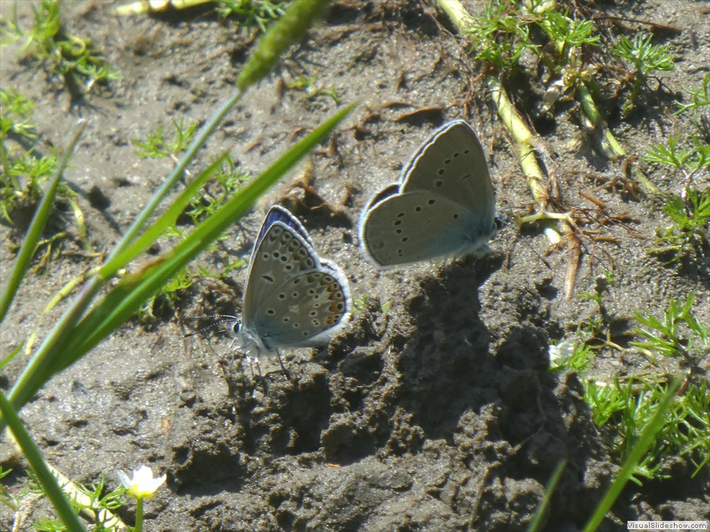 P1050833