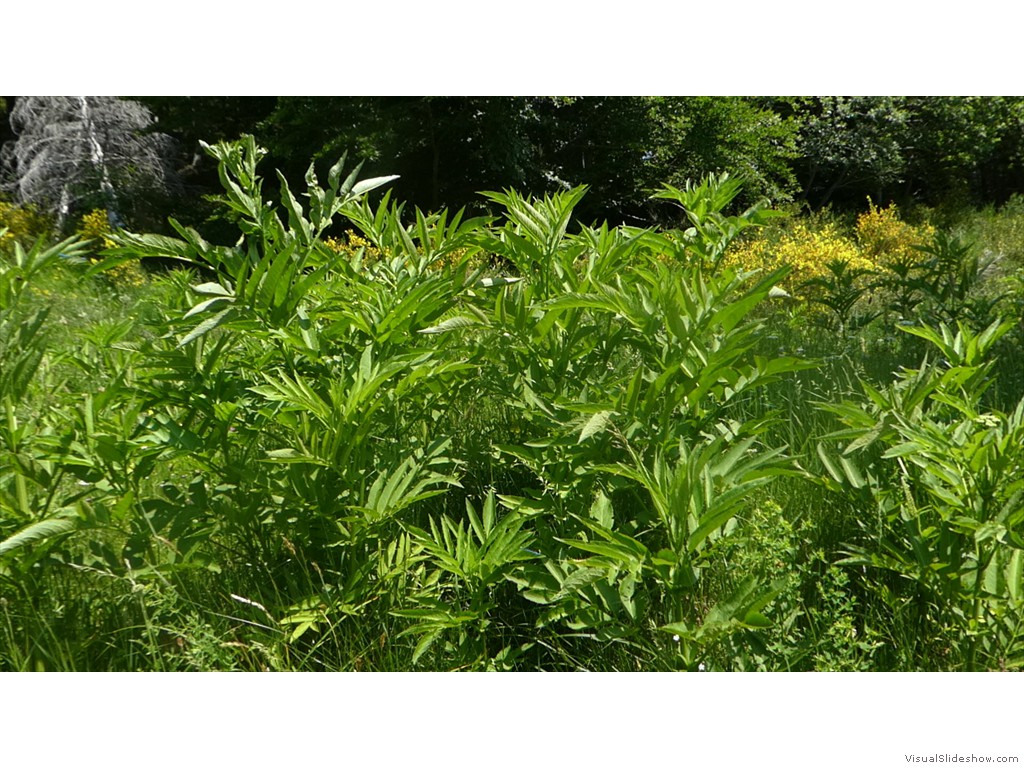 P1050843