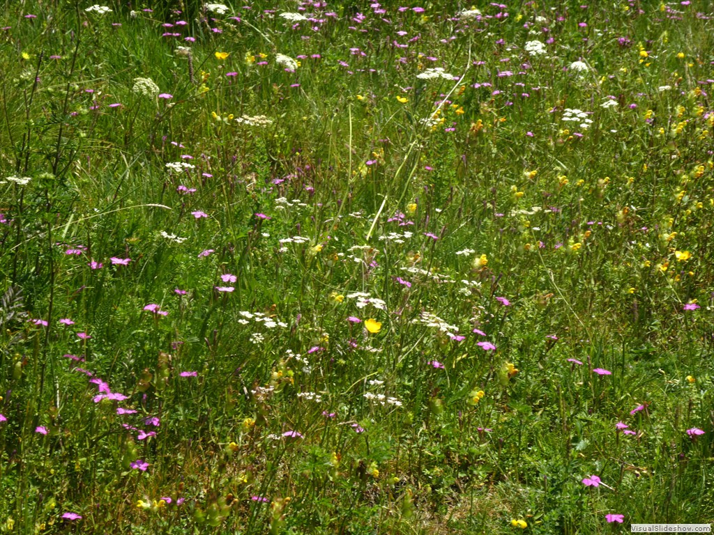 P1050846