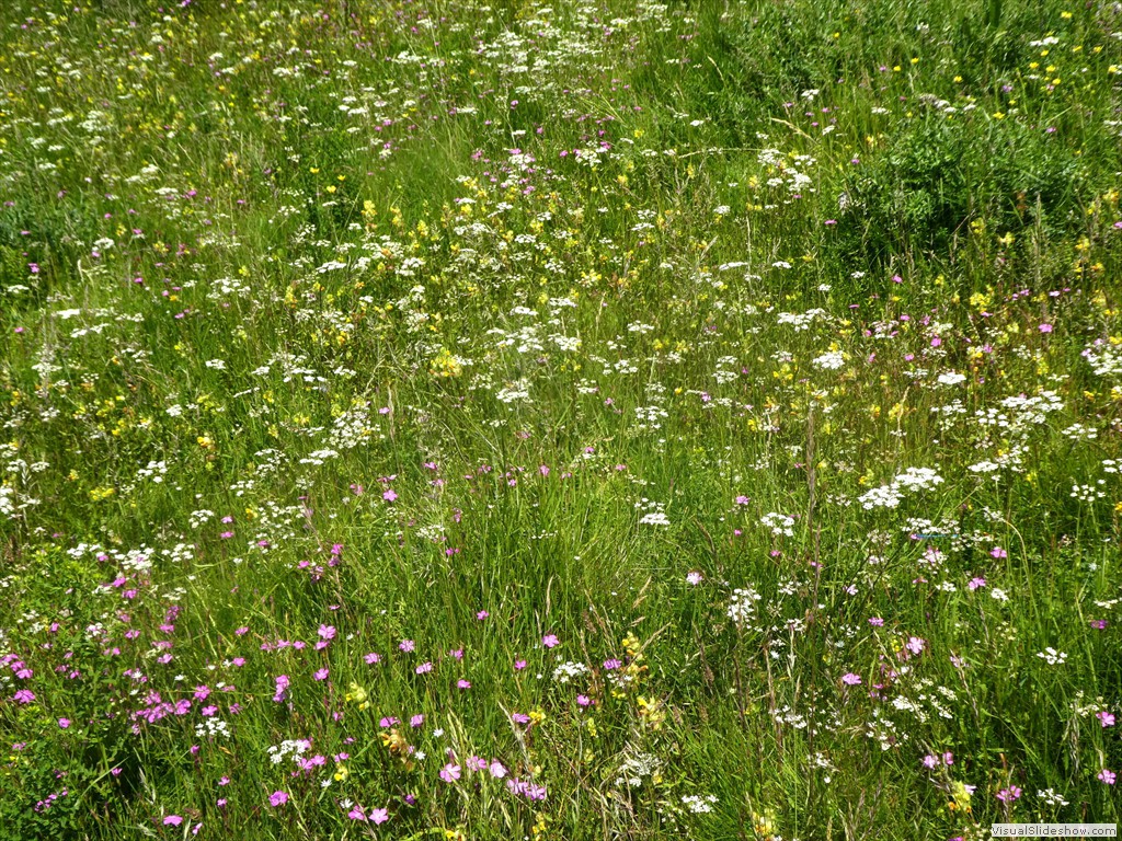 P1050847
