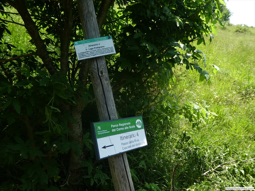 P1050848