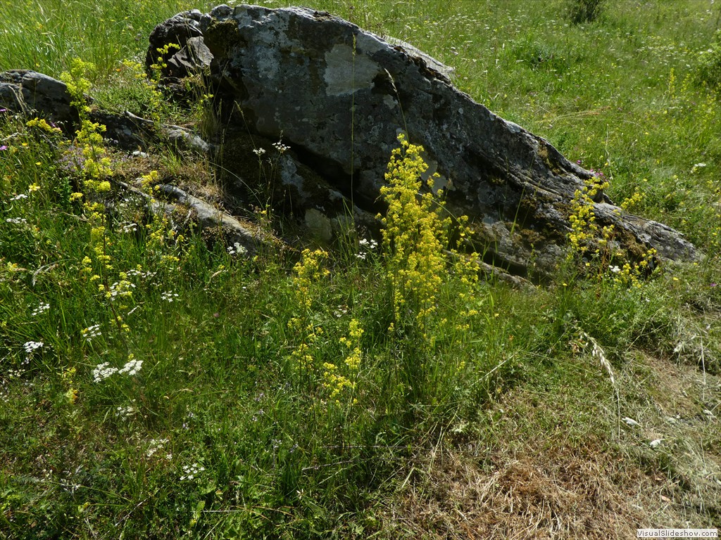 P1050849