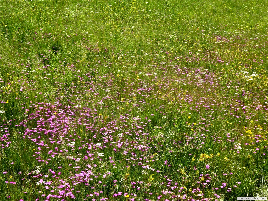 P1050850