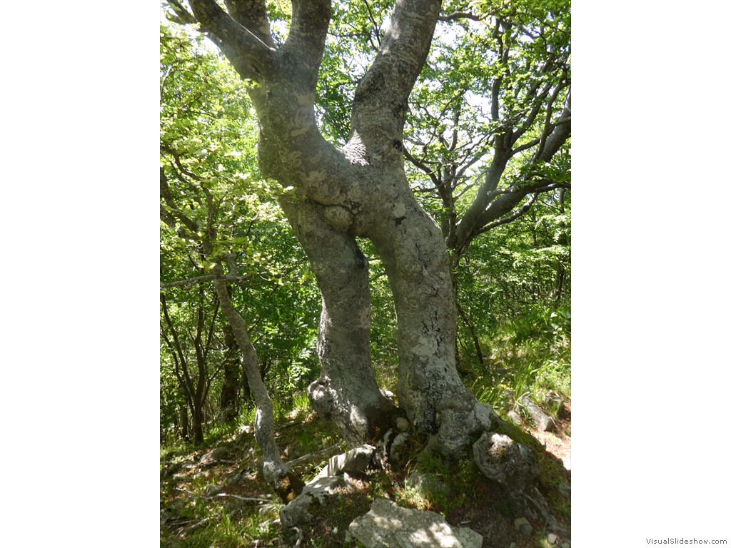 P1050861