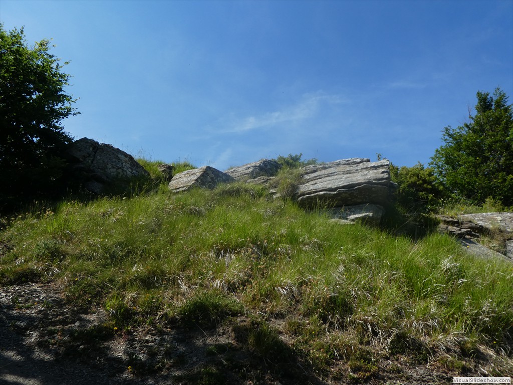 P1050863
