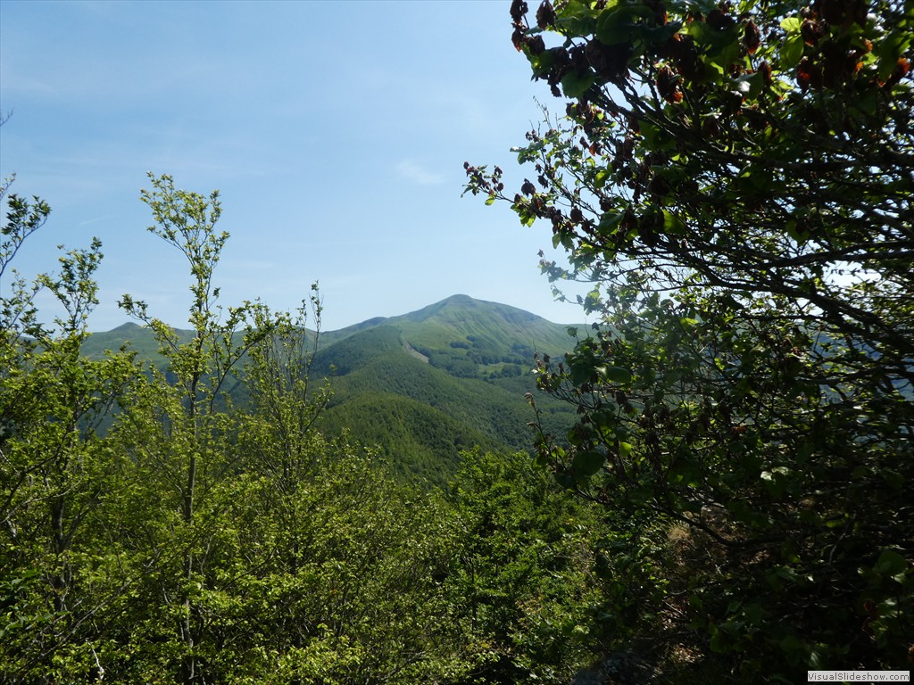 P1050864