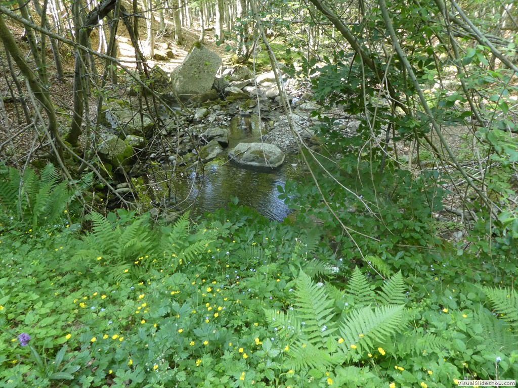 P1060003