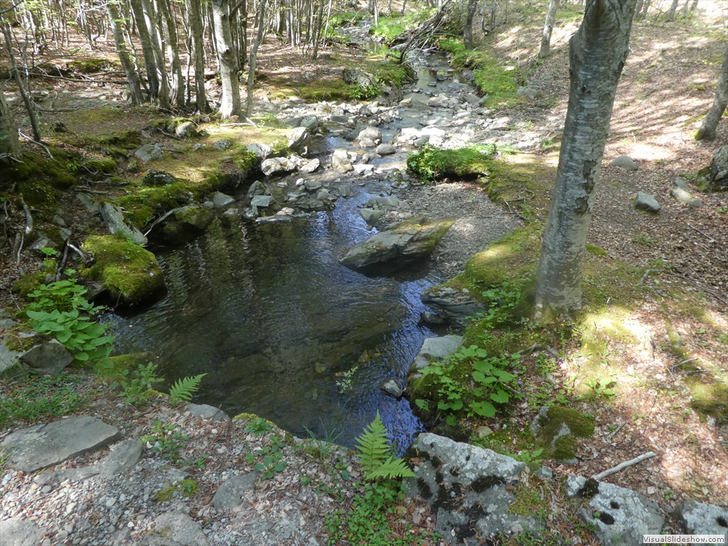 P1060006