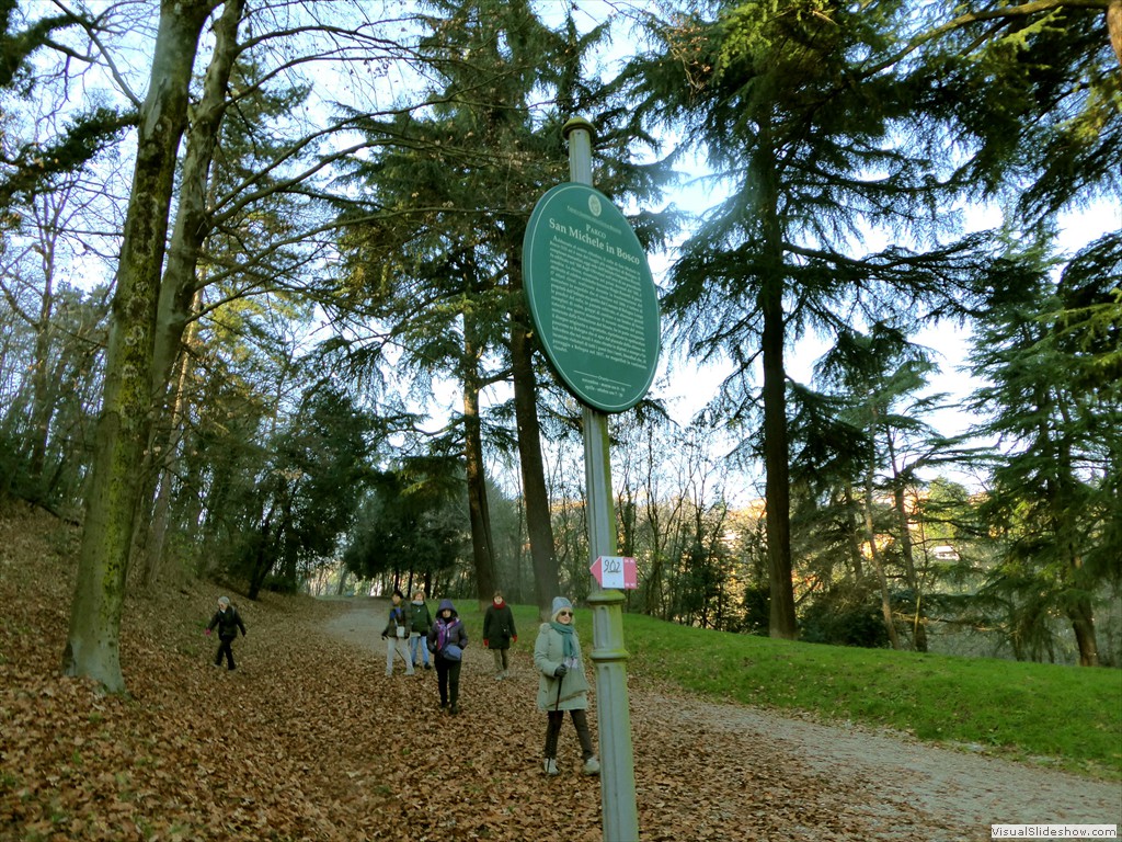 P1020563