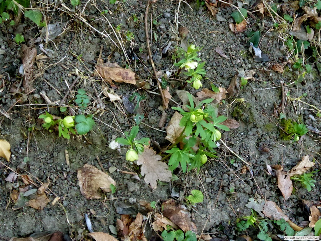 P1020575
