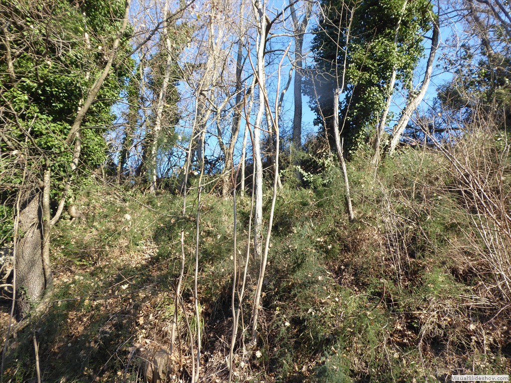 P1020576