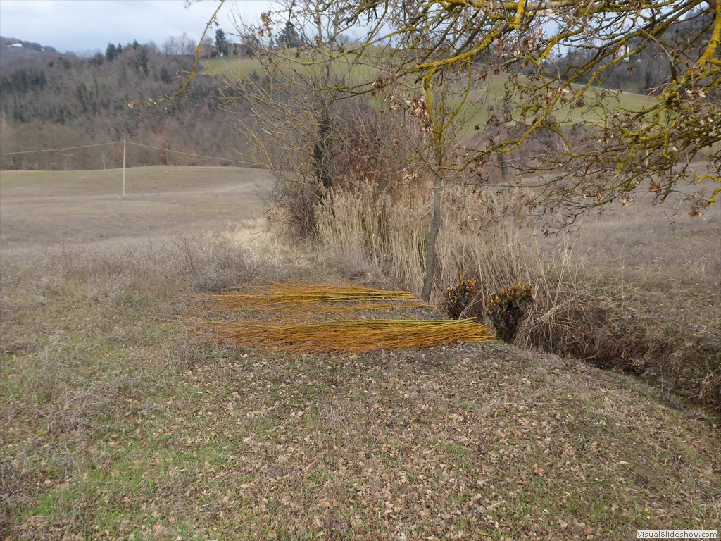 P1030076