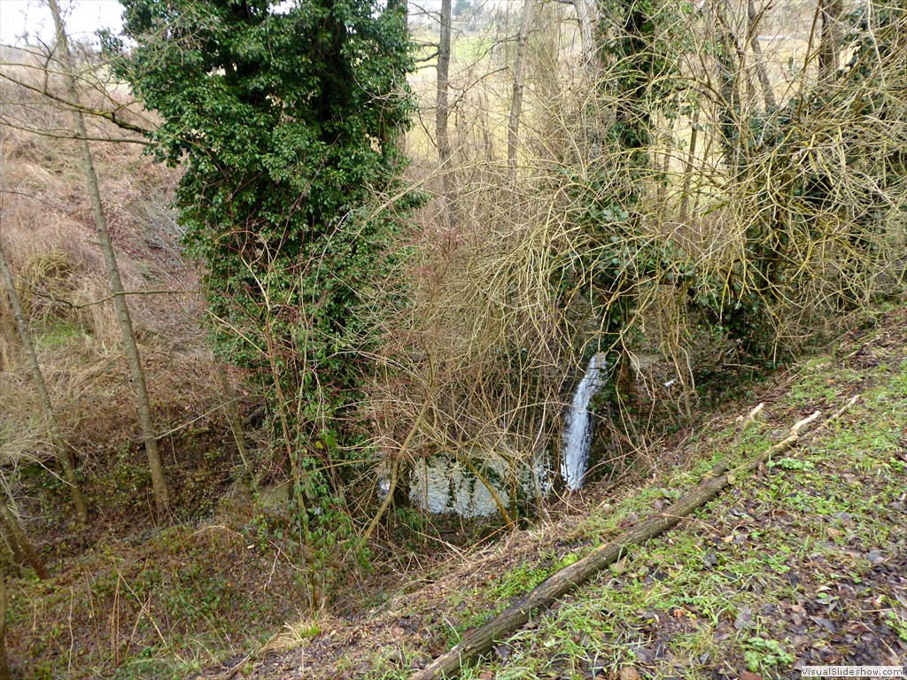 P1030079