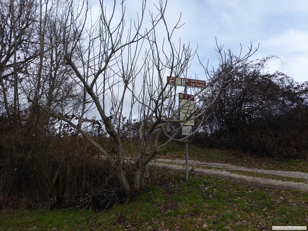 P1030082