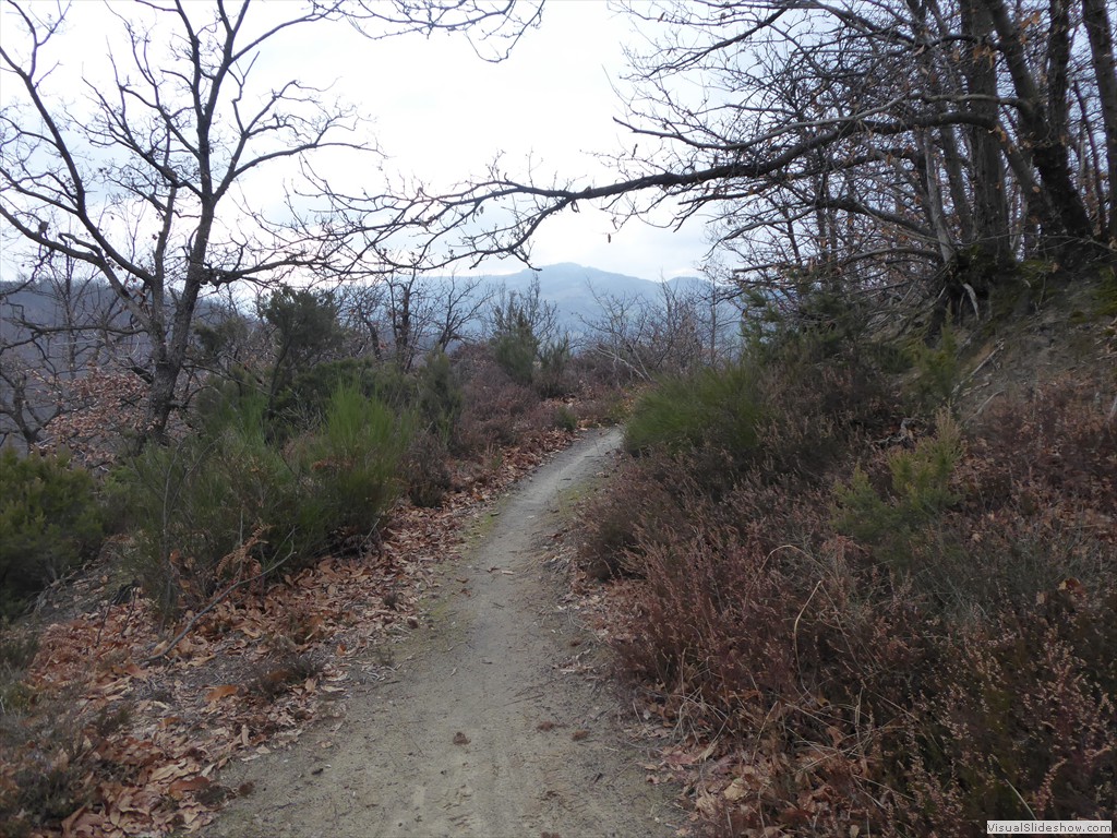 P1030107