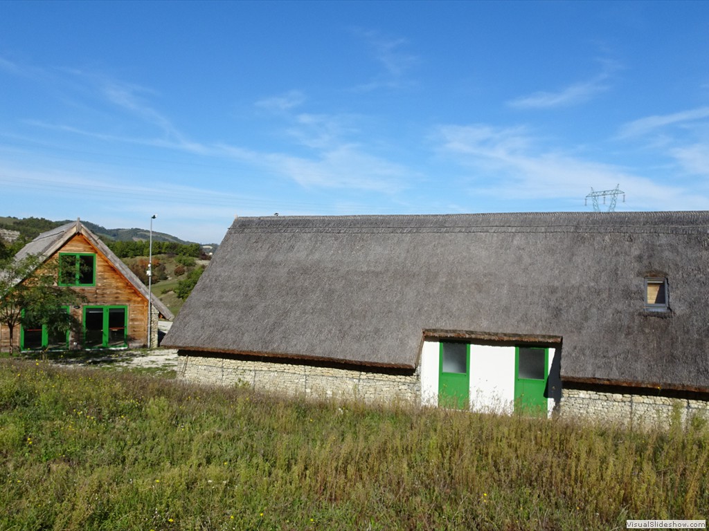 DSC02880