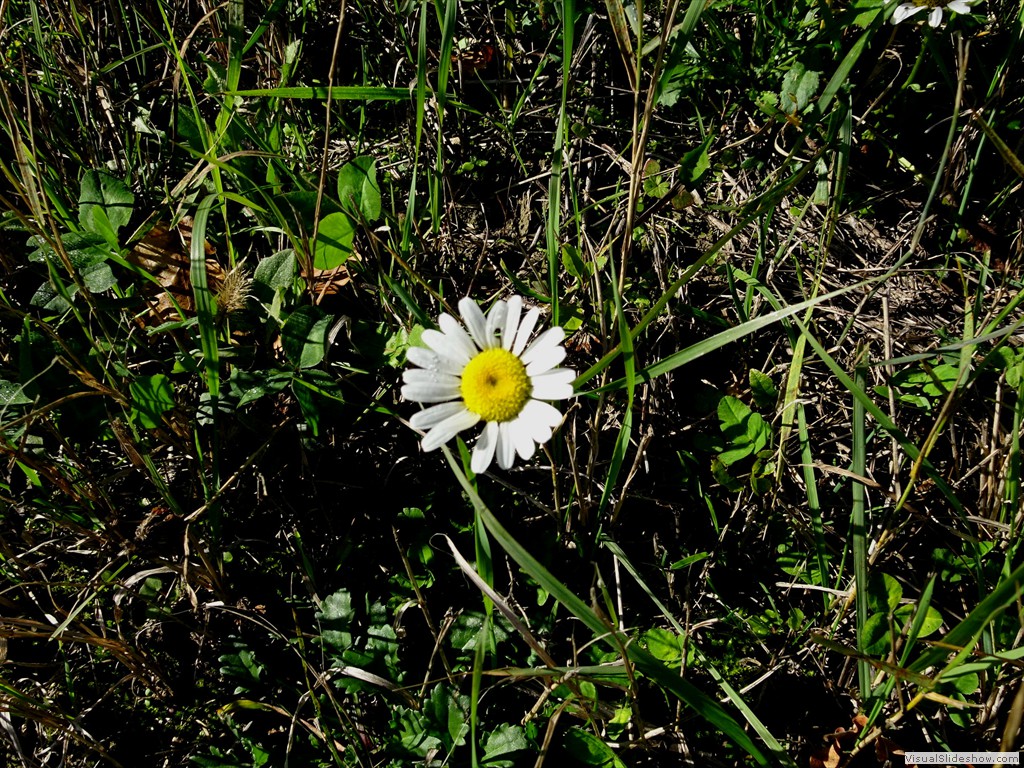DSC02886