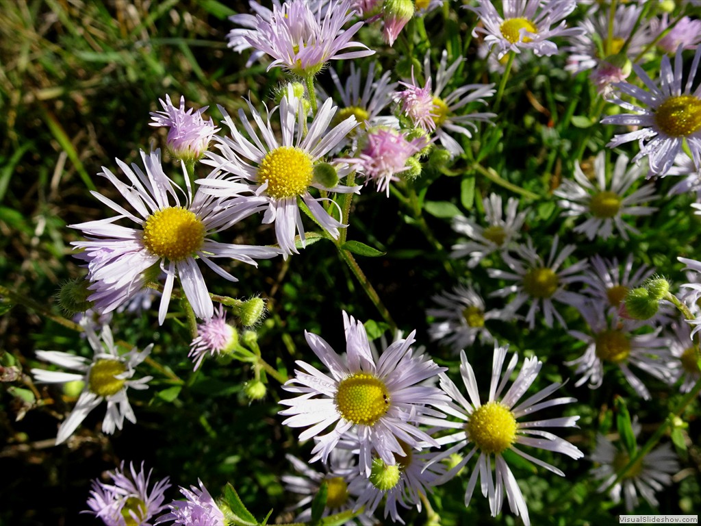 DSC02895