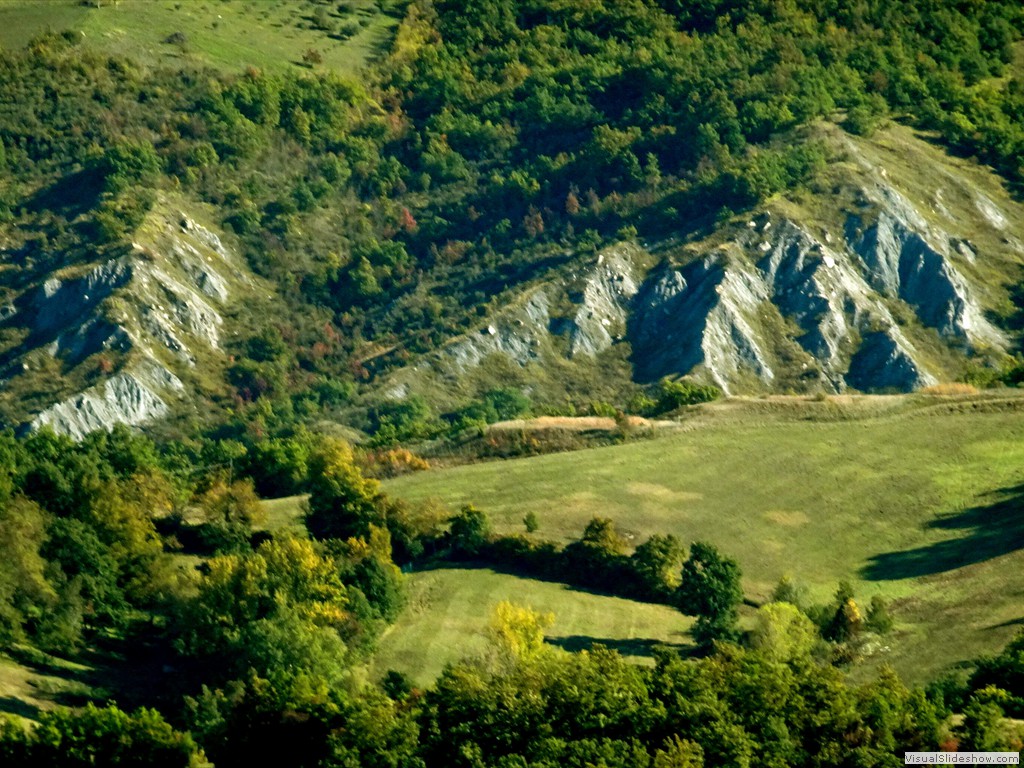DSC02900