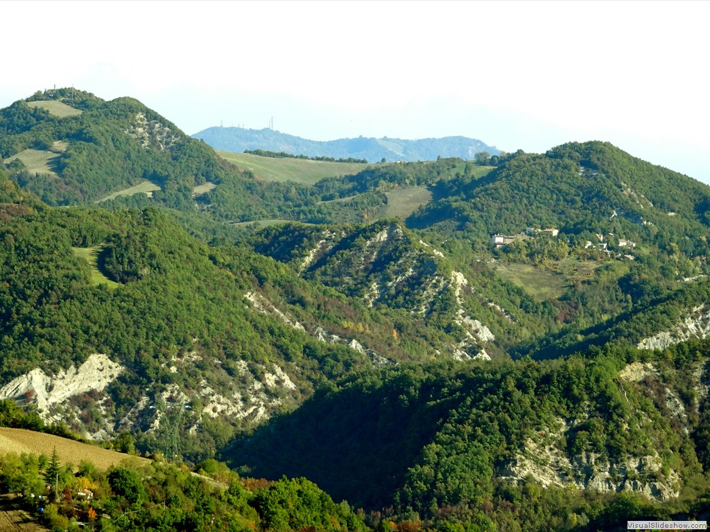 DSC02903