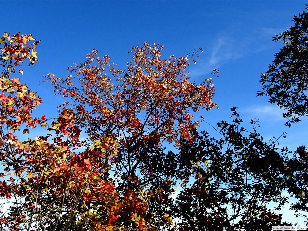 DSC02906