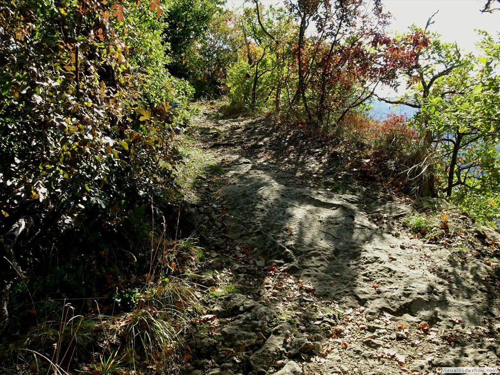 DSC02907