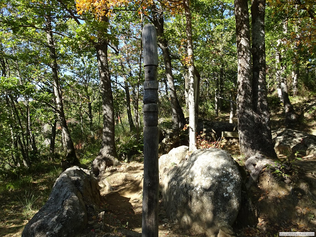 DSC02914
