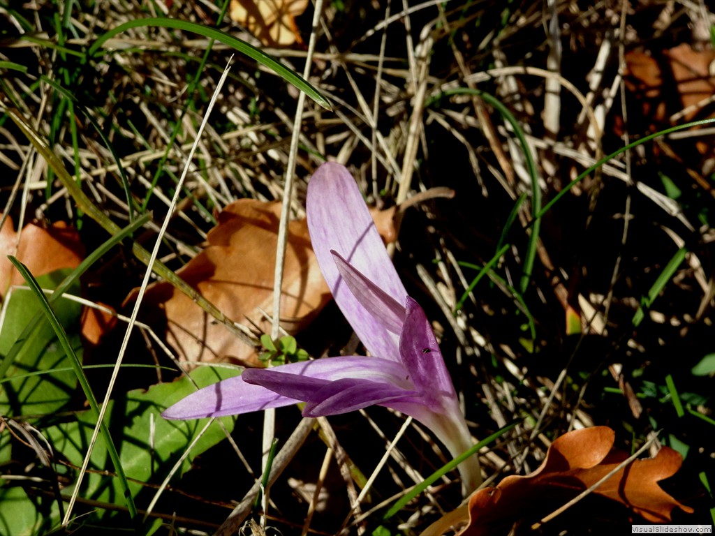 DSC02918