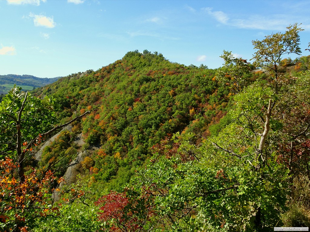DSC02933