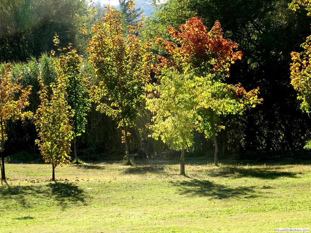 DSC02937