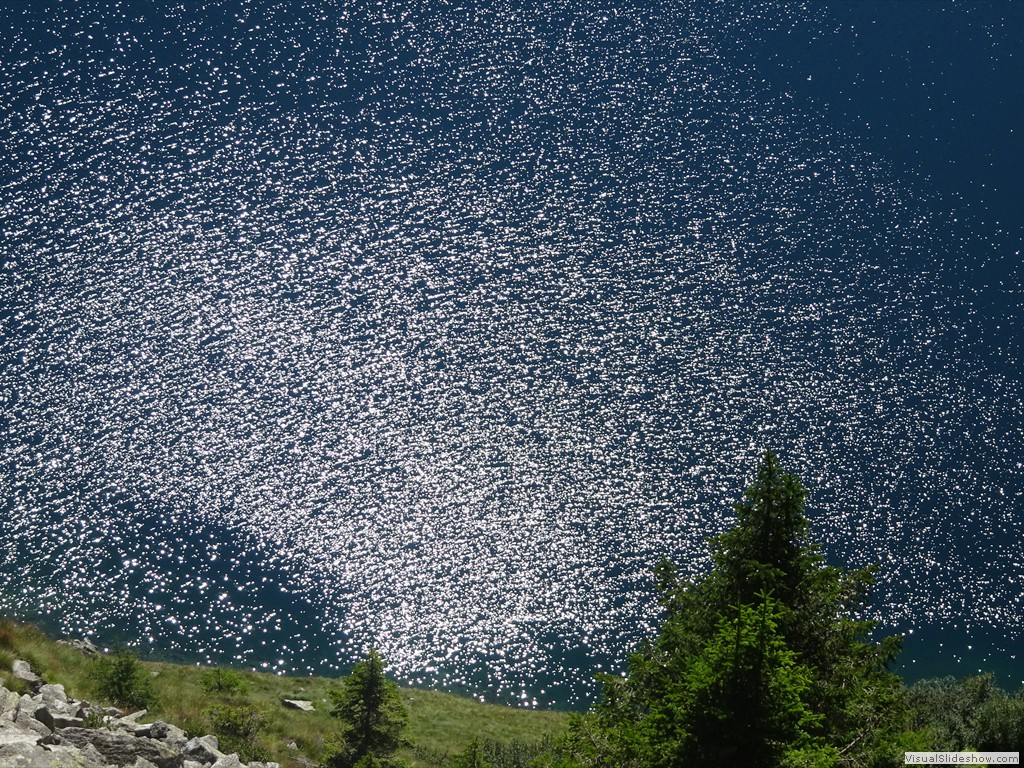 DSC02675