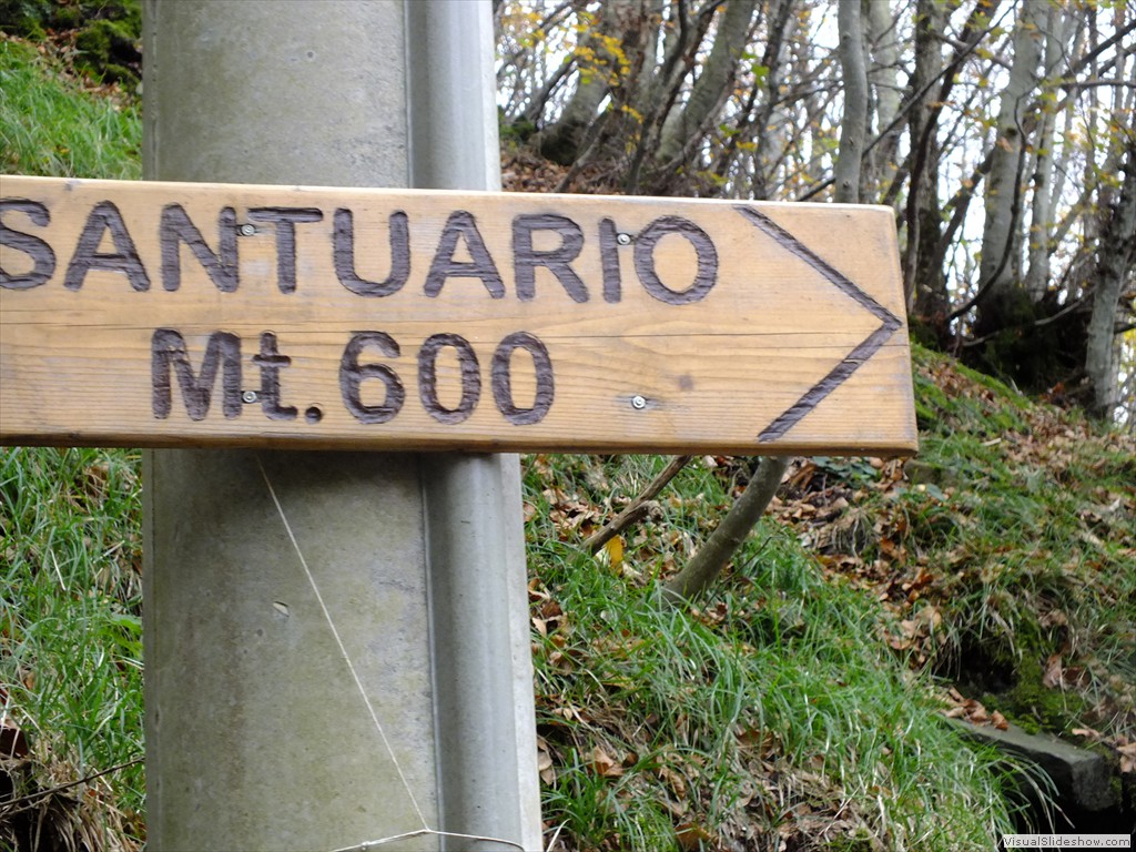 cio13004