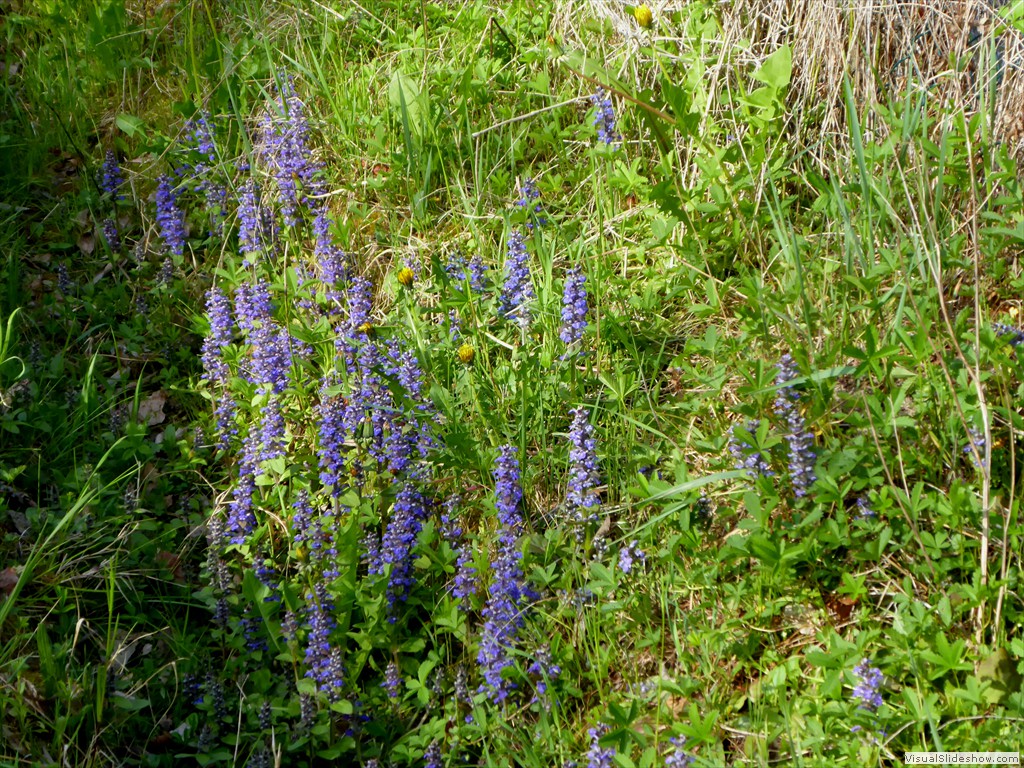 P1030636