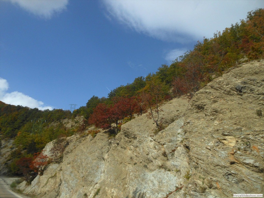 DSCN8004