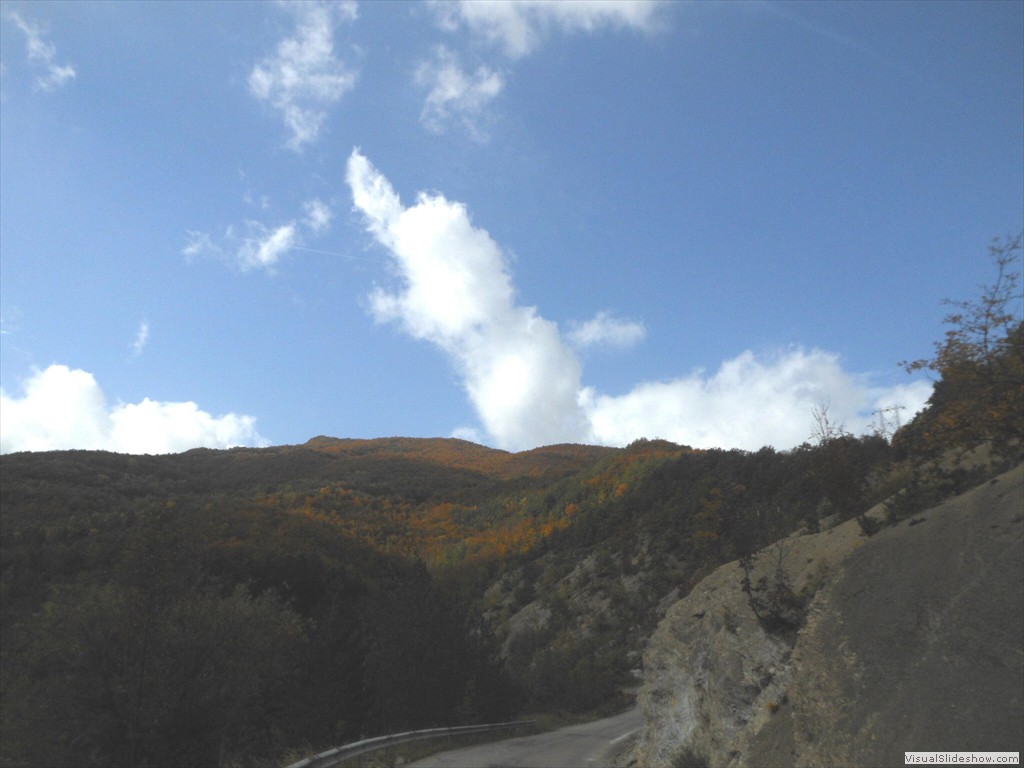 DSCN8007