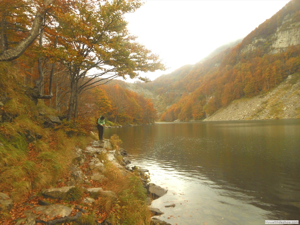 DSCN8093