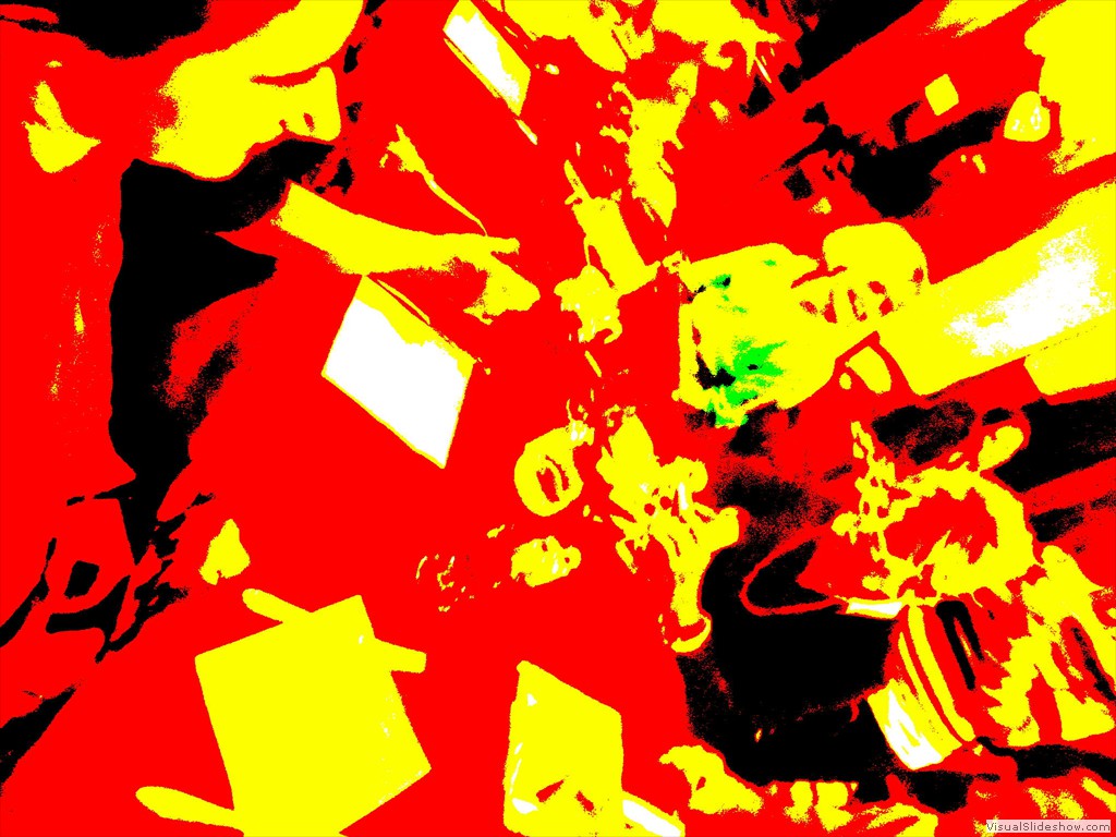 DSCN8117