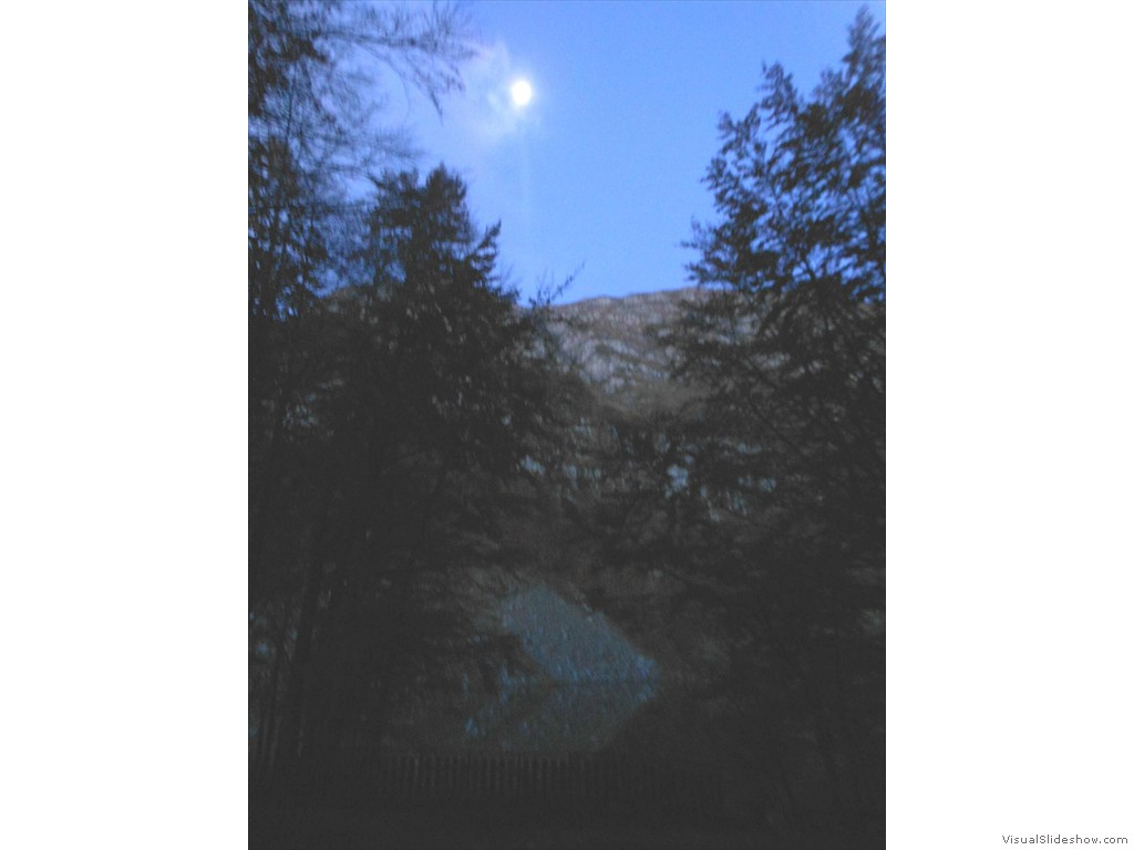 DSCN8124
