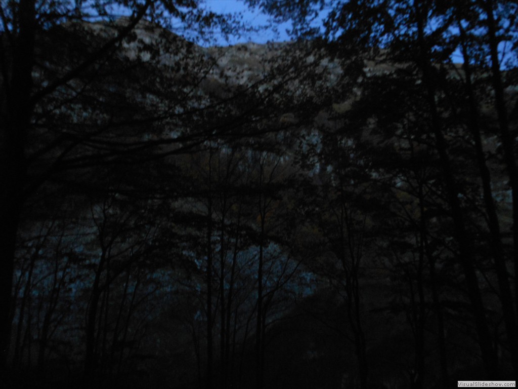 DSCN8127