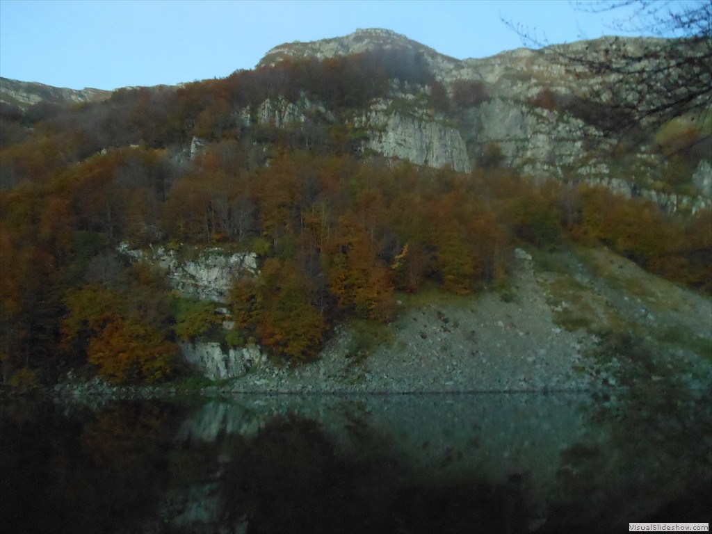 DSCN8135