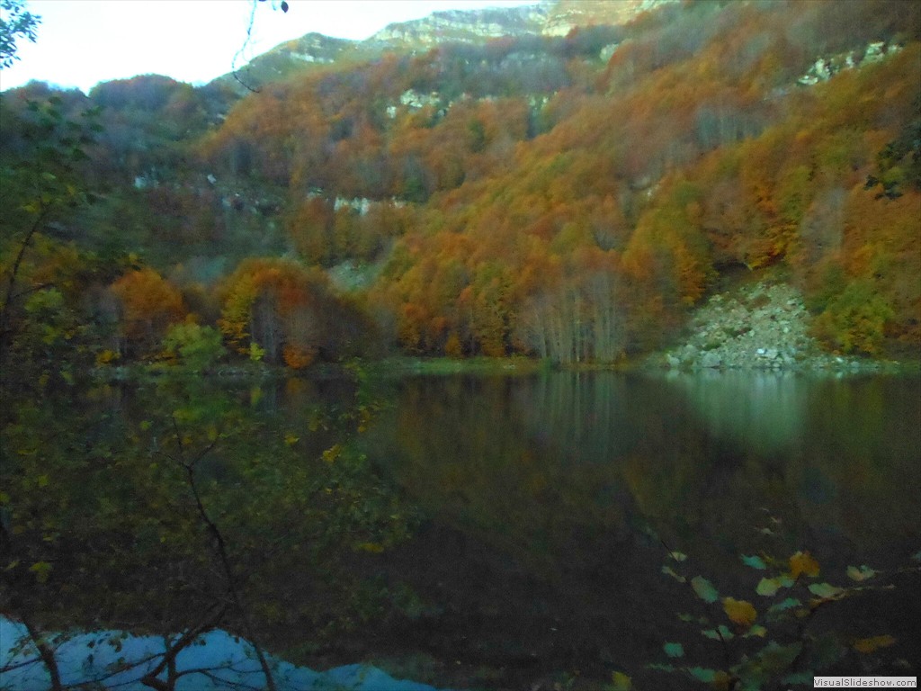 DSCN8142