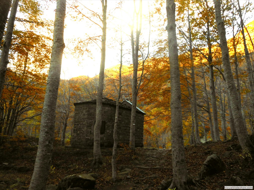 DSCN8155