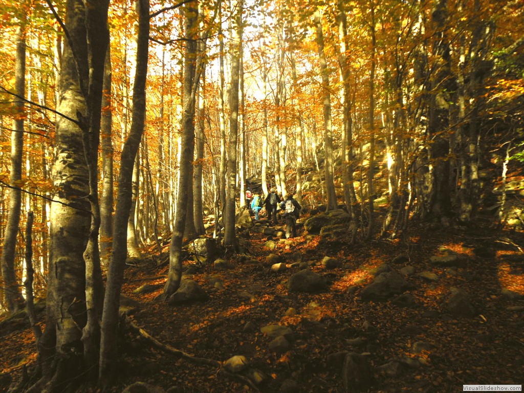 DSCN8202