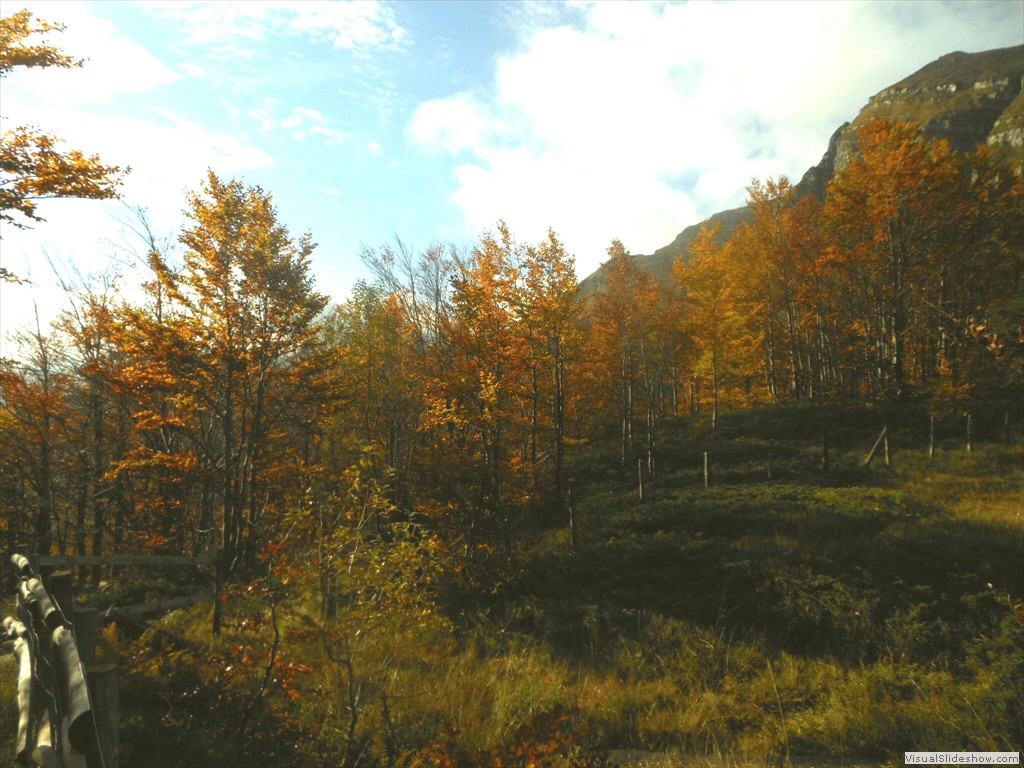 DSCN8208
