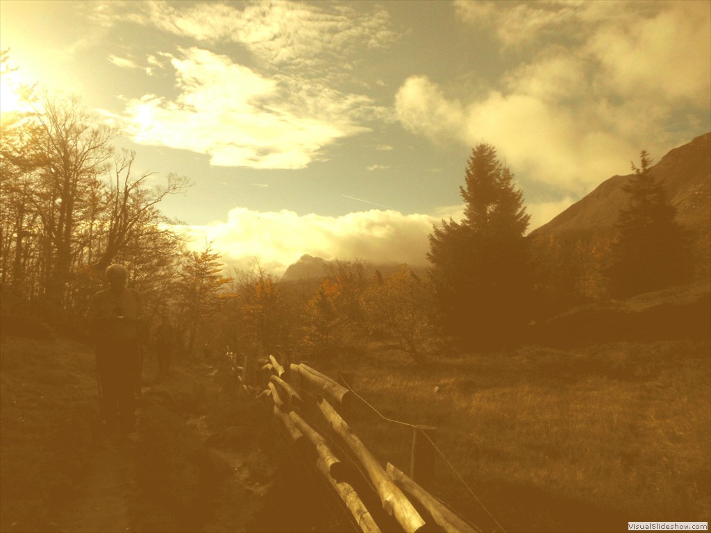 DSCN8209