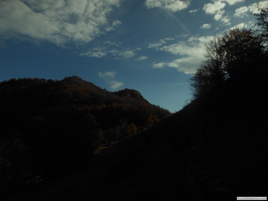 DSCN8220