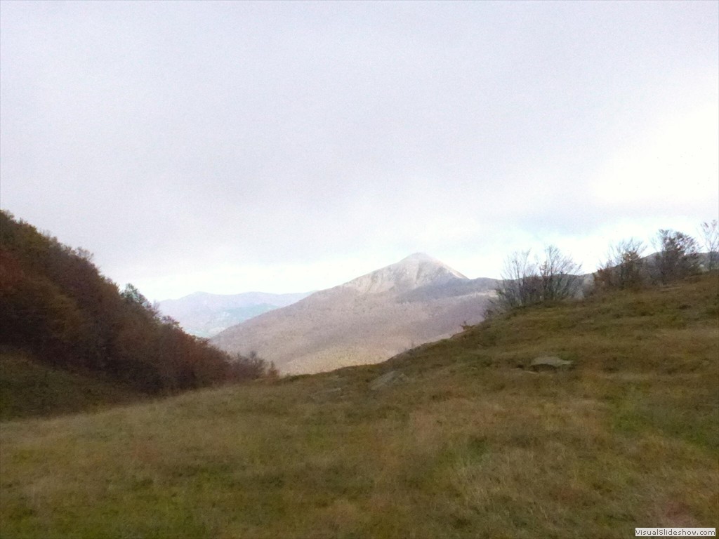 P1010737