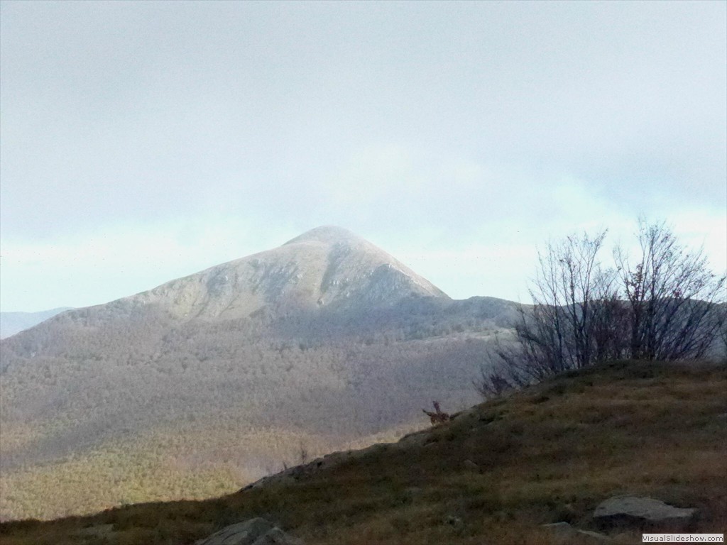 P1010738